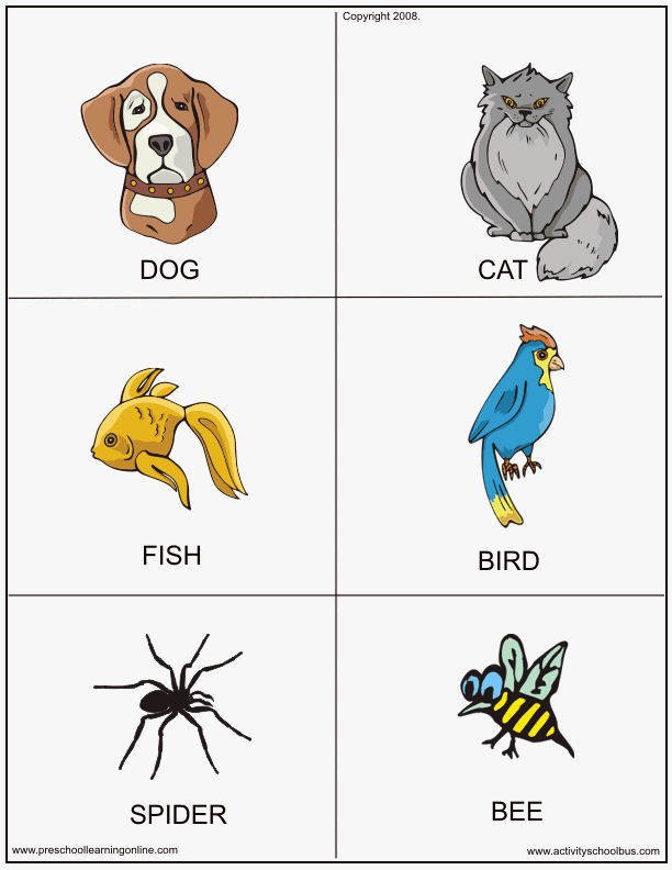 printable animal pictures cards