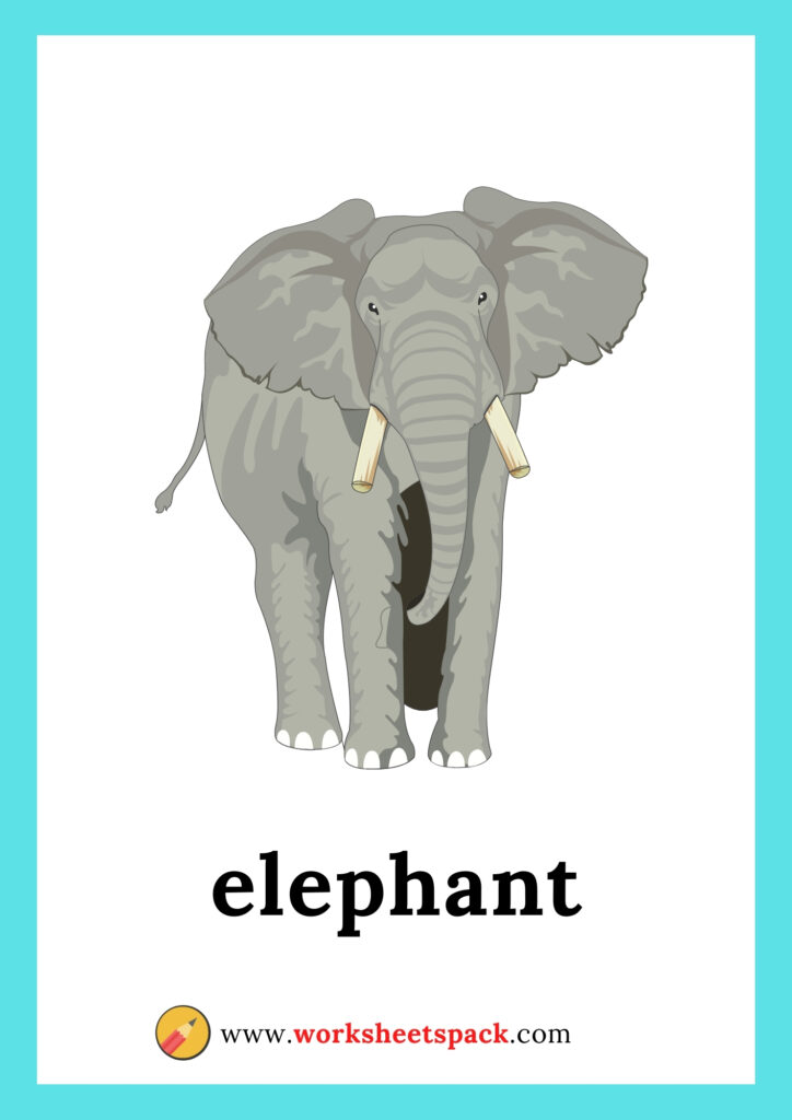 Free Wild Animals Flashcards - worksheetspack