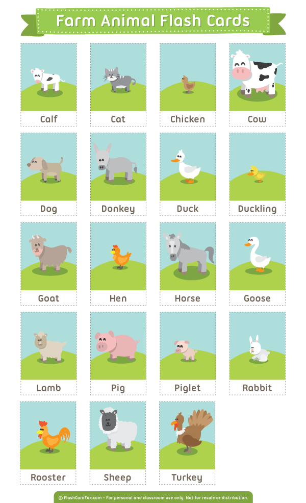 Printable Farm Animals Flash Cards