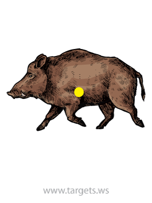 printable animal targets