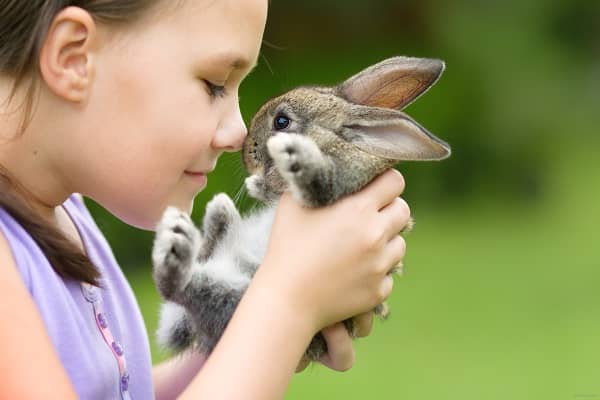 printable animal trivia questions and answers