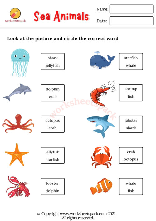 Free Printable Sea Animals Worksheets - worksheetspack