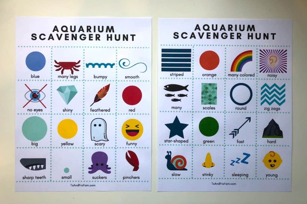 printable aquarium scavenger hunt