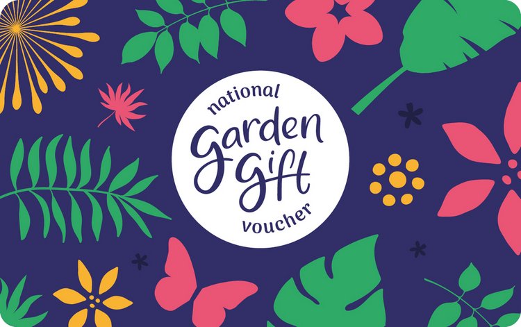 printable argos vouchers