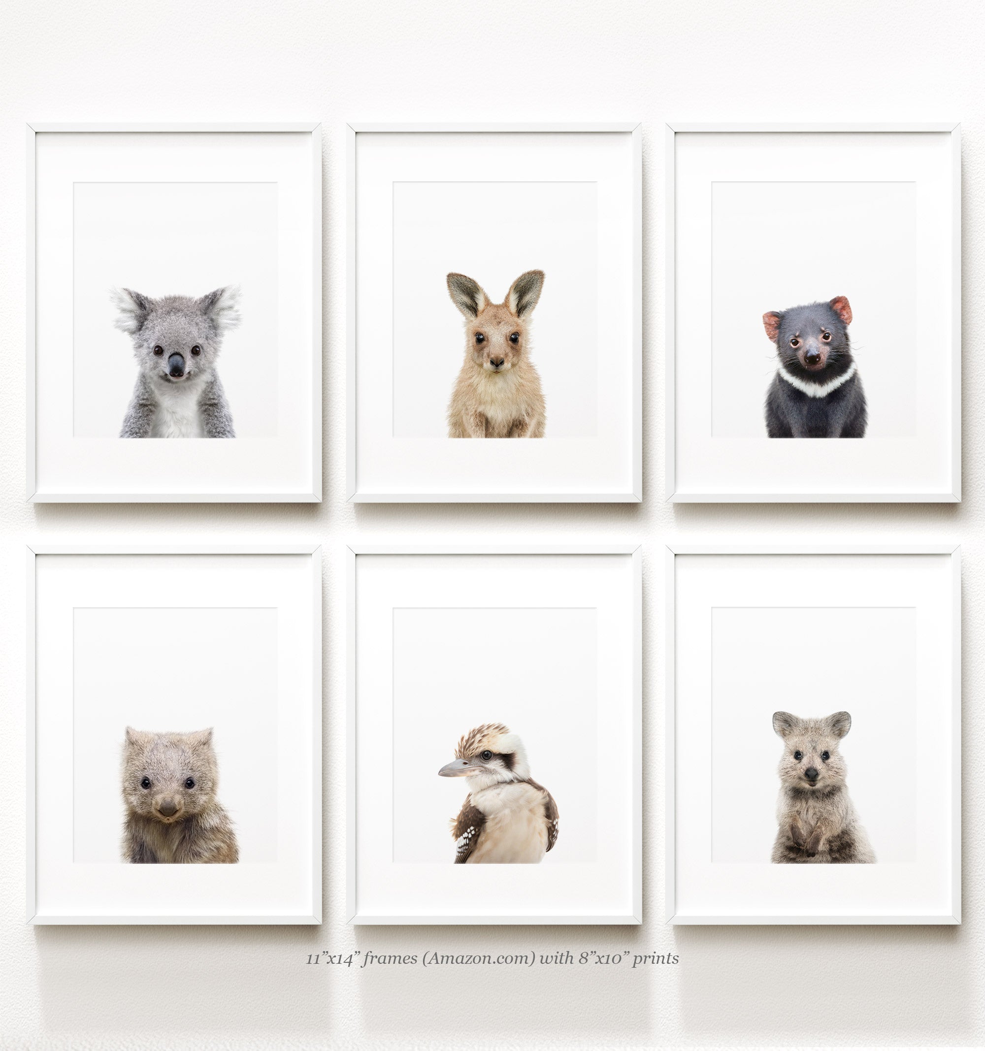 Baby Australian Animals Set of 6 - Poster Prints for Nursery and ...