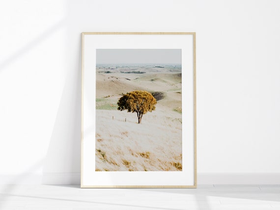 Australia Printable 5 Pieces Large Wall Art, Australia Landscape ...