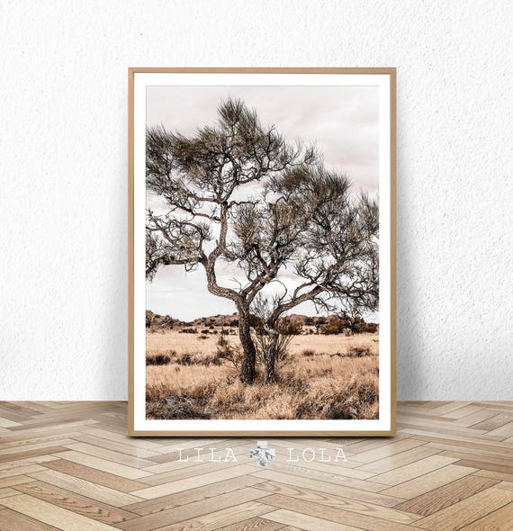 Australian Outback Landscape, Wall Art Print, Desert Tree ...