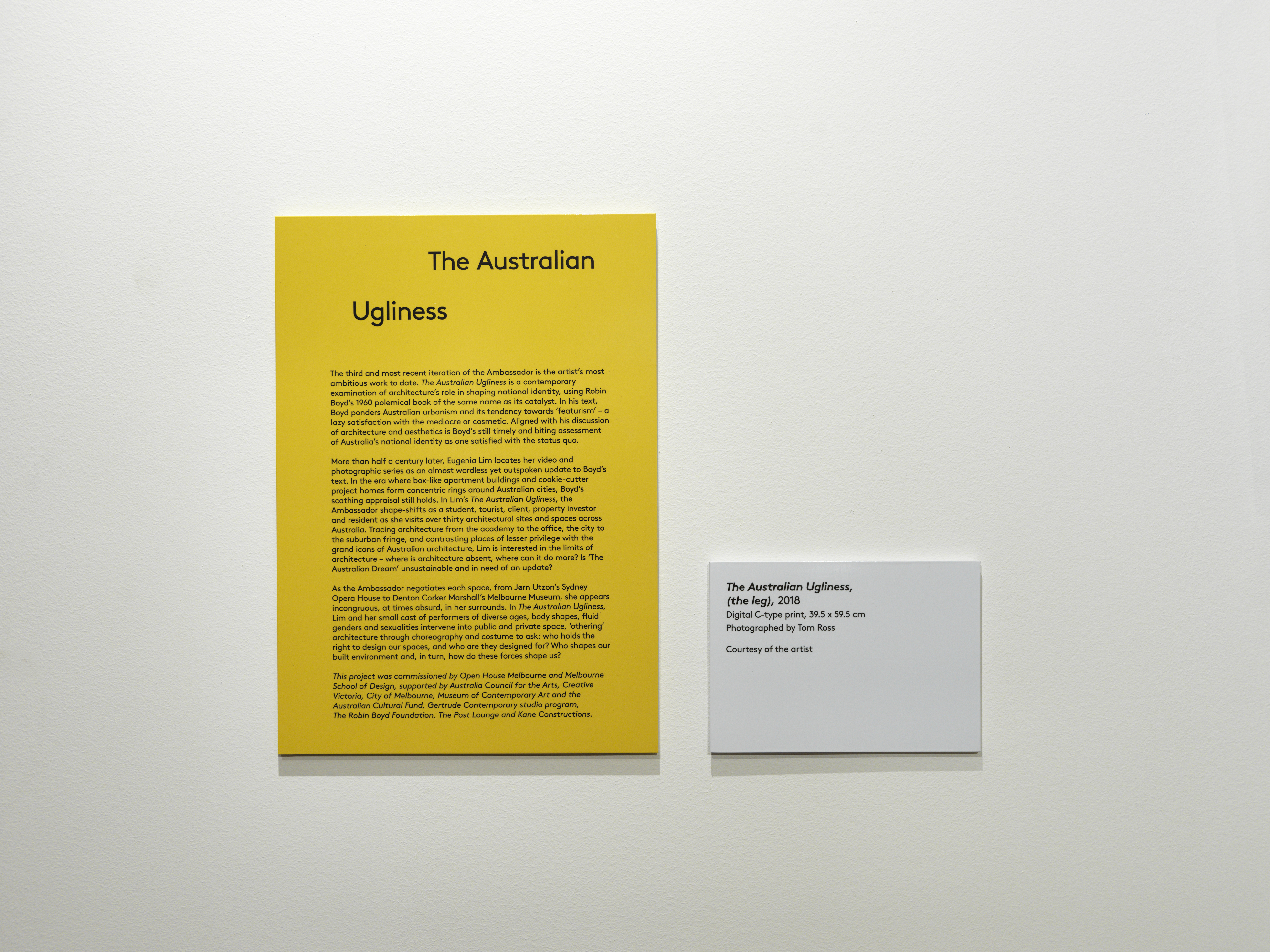 Exhibition Labelling - MGNSW