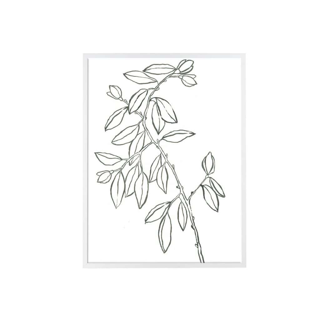 Birds Coloring Pages » Pretty Printable Bird Coloring Sheets
