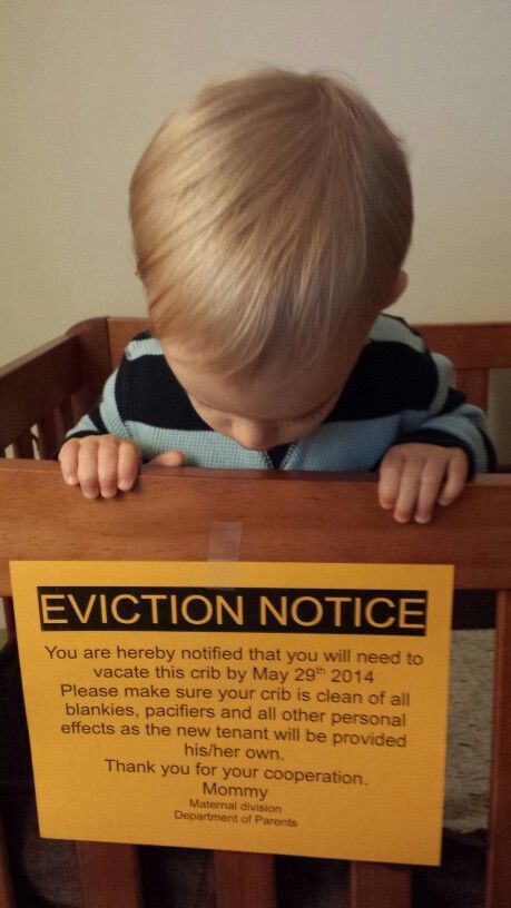printable baby eviction notice