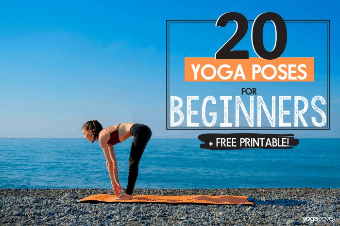 20 Yoga Poses for Complete Beginners - Yoga Rove