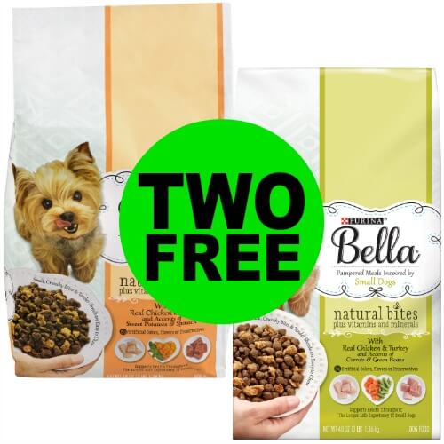 Print NOW! TWO (2!) FREE bags of Purina Bella Dog Food at Publix ...