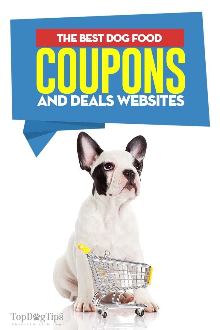 20 Dog Food Coupon Sites to Help You Save