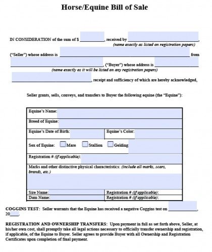 Free Horse/Equine Bill of Sale Form | PDF | Word (.doc)