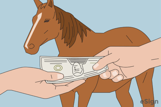 printable bill of sale for a horse