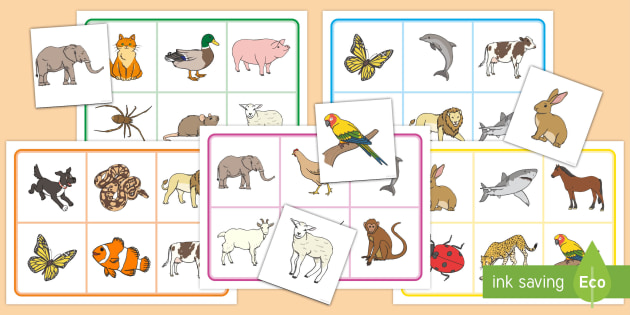 printable bingo cards animals