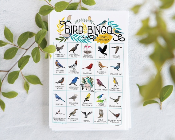 Bird Bingo Cards: Printable Bingo, 50 Cards, Senior Citizen ...