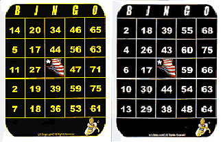 printable bingo cards for visually impaired
