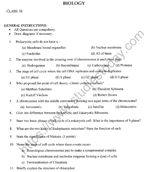 printable biology worksheet