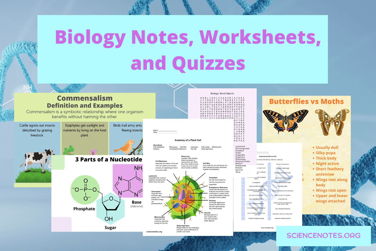 Free printable biology worksheet, Download Free printable biology worksheet png images, Free
