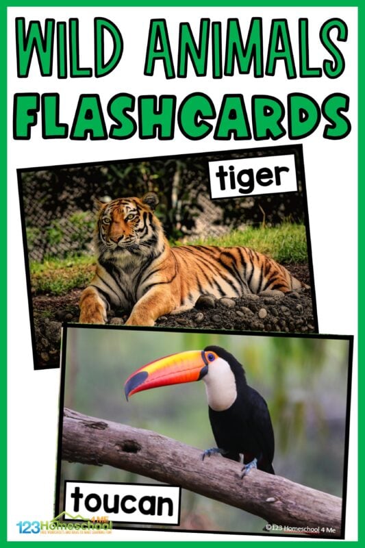 ? FREE Printable Wild Animal Flashcards with Real Pictures