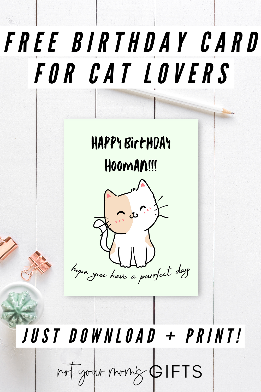 printable birthday cards cats