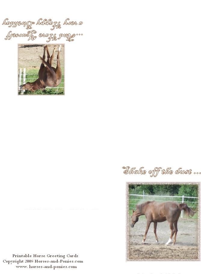 Horse Birthday Cards - Horses and Ponies