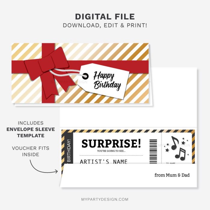 Printable Concert Ticket Template - My Party Design