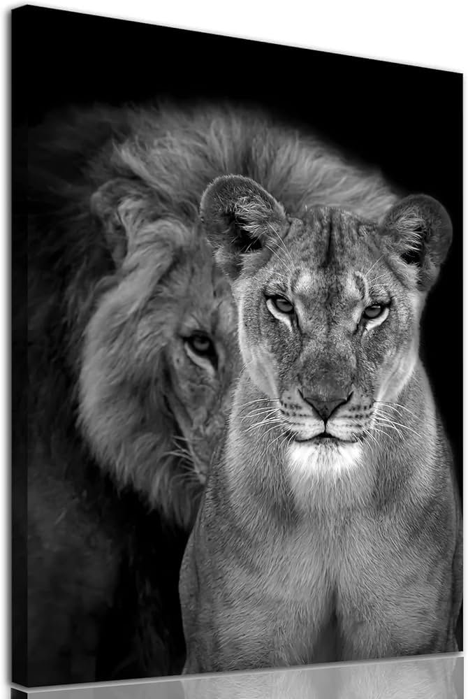 printable black and white animal pictures