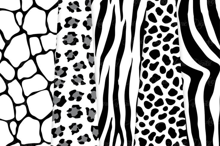 printable black and white animal pictures