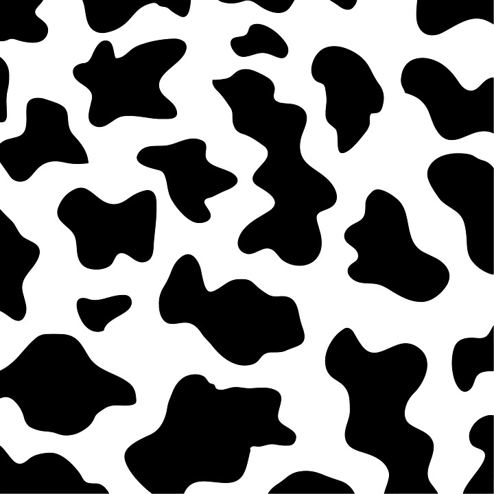 printable black and white animal pictures