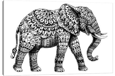 printable black and white animal pictures