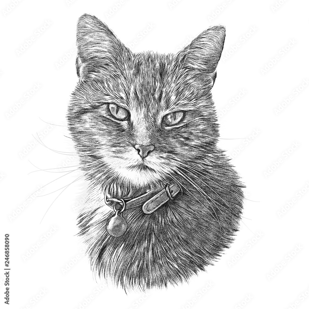 printable black and white animal pictures