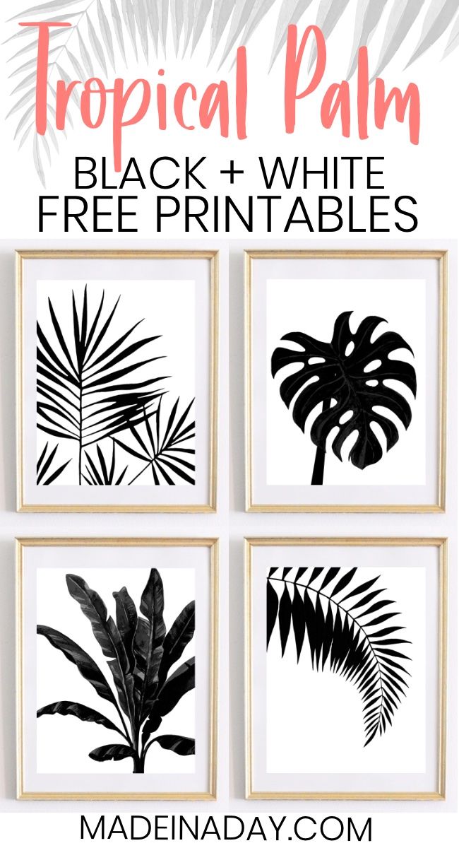 Black &  White Tropical Palm Leaf Wall Art Printables