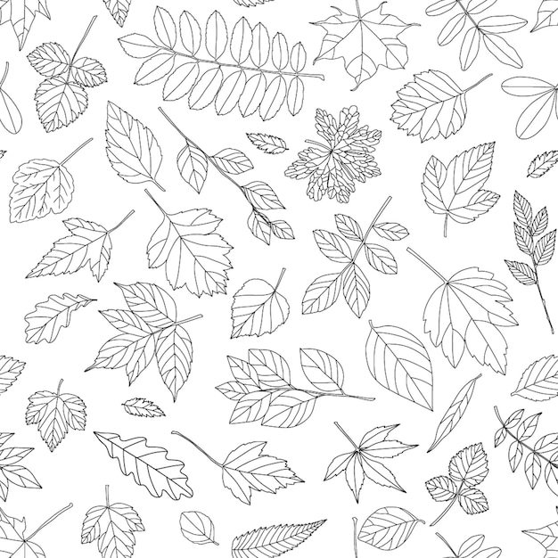 printable black and white leaves