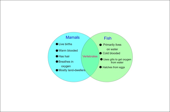 printable blank venn diagram 2 circles