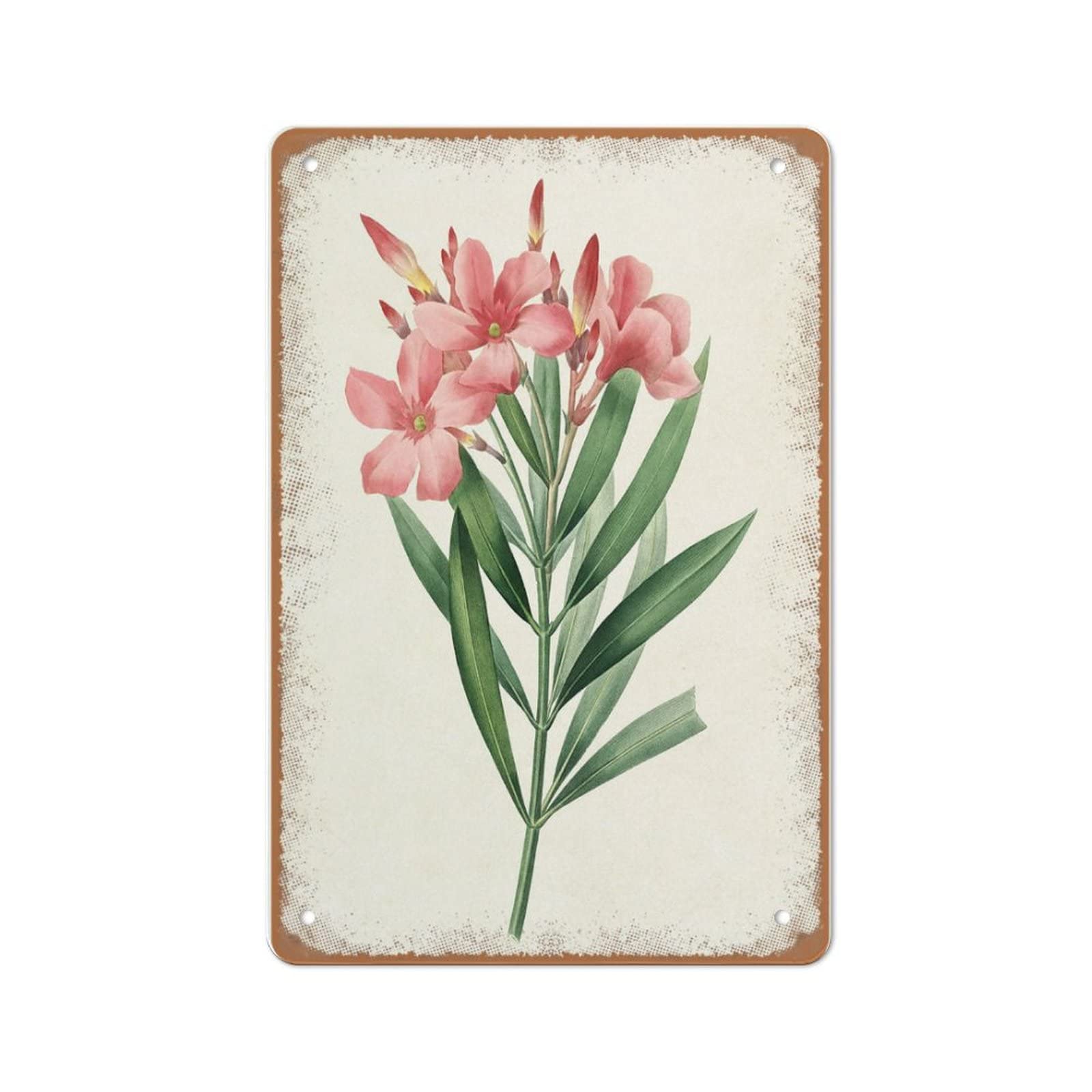Rosa Oleander Flowers Printable Vintage Flower Illustration Botanical Wall  Art Print Vintage Style Wall Sign Wall Decor Gift for Mom Dad Friends Tin  ...