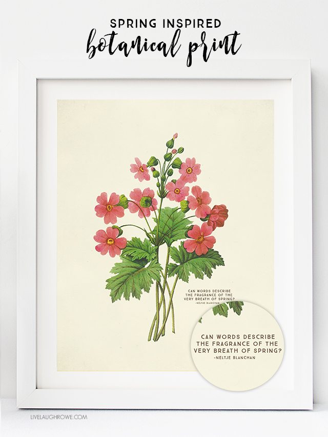 FREE Printable Wall Art. Choose from two Spring Botanical Prints!