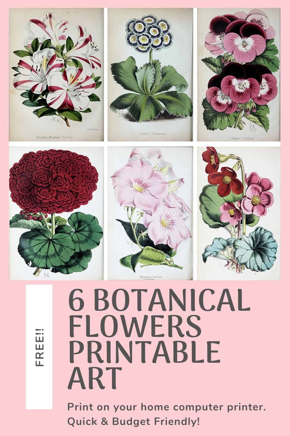 Set of 6 Free Printable Botanical Flowers Art Prints - Harbour ...