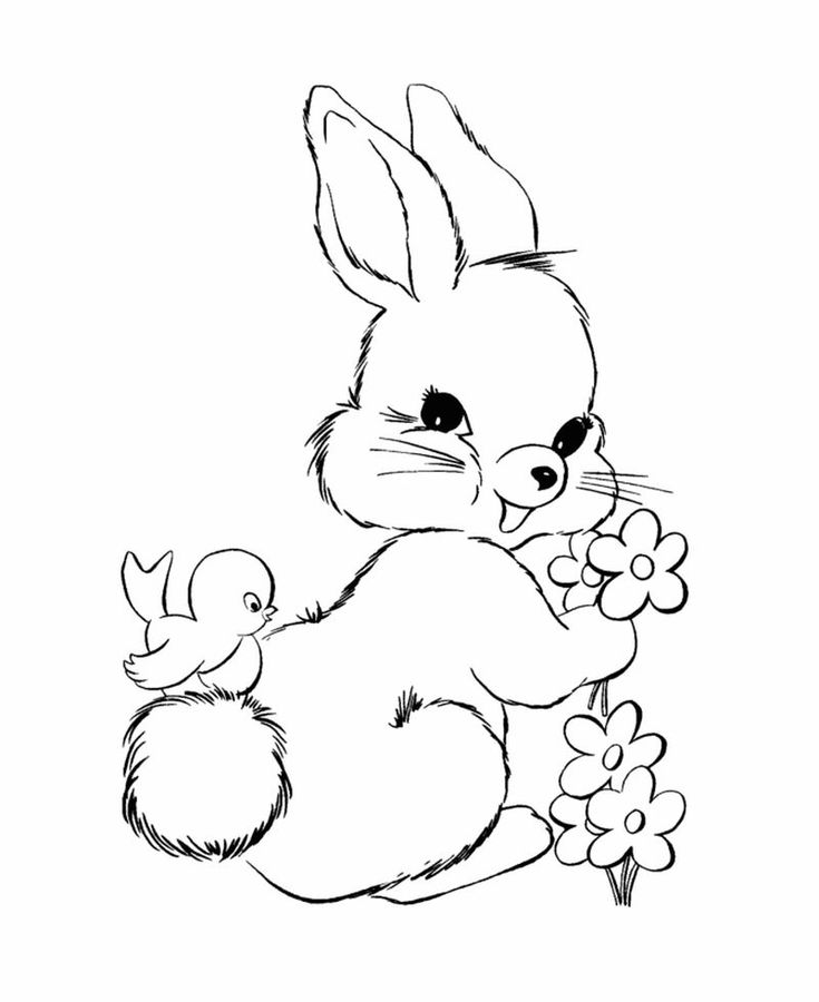 printable bunny pictures