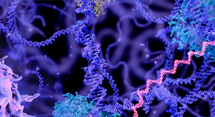British Journal of Cancer