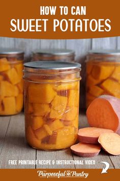 260 Canning Recipes for Beginners ideas | canning recipes, canning ...