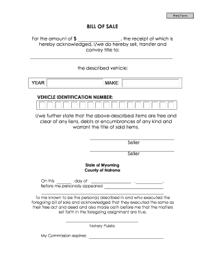 18 Printable Car Sale Receipt Template Forms - Fillable Samples in ...