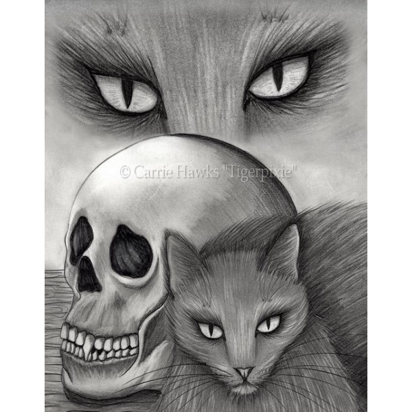 Witchs Cat Eyes, Black Cat, Vampire Skull, Art Print Tigerpixie ...