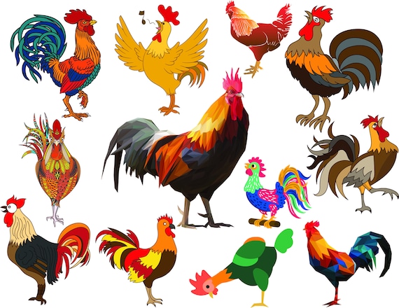 printable chicken pictures