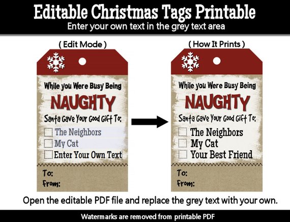 Funny Naughty Christmas Gift Tags Printable PDF - Digital Kraft ...