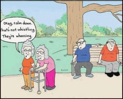 printable clean jokes for seniors