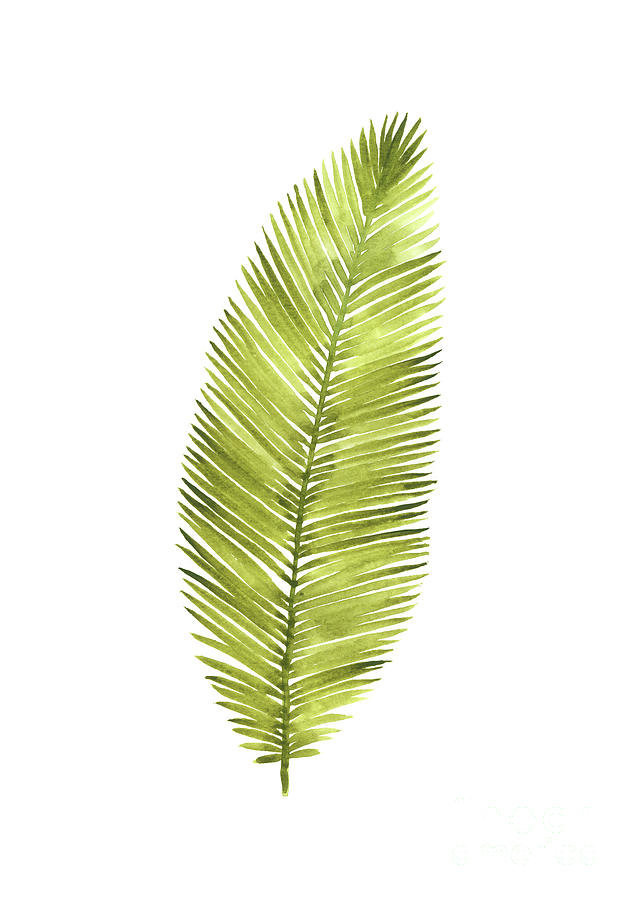 Coconut Palm Leaf Watercolor Painting,Tropical Cocos Tree Art Print by  Joanna Szmerdt