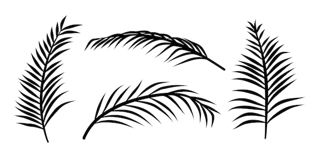 Premium Vector | Silhouette coconut leaves