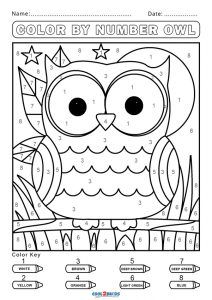 printable color by number owl